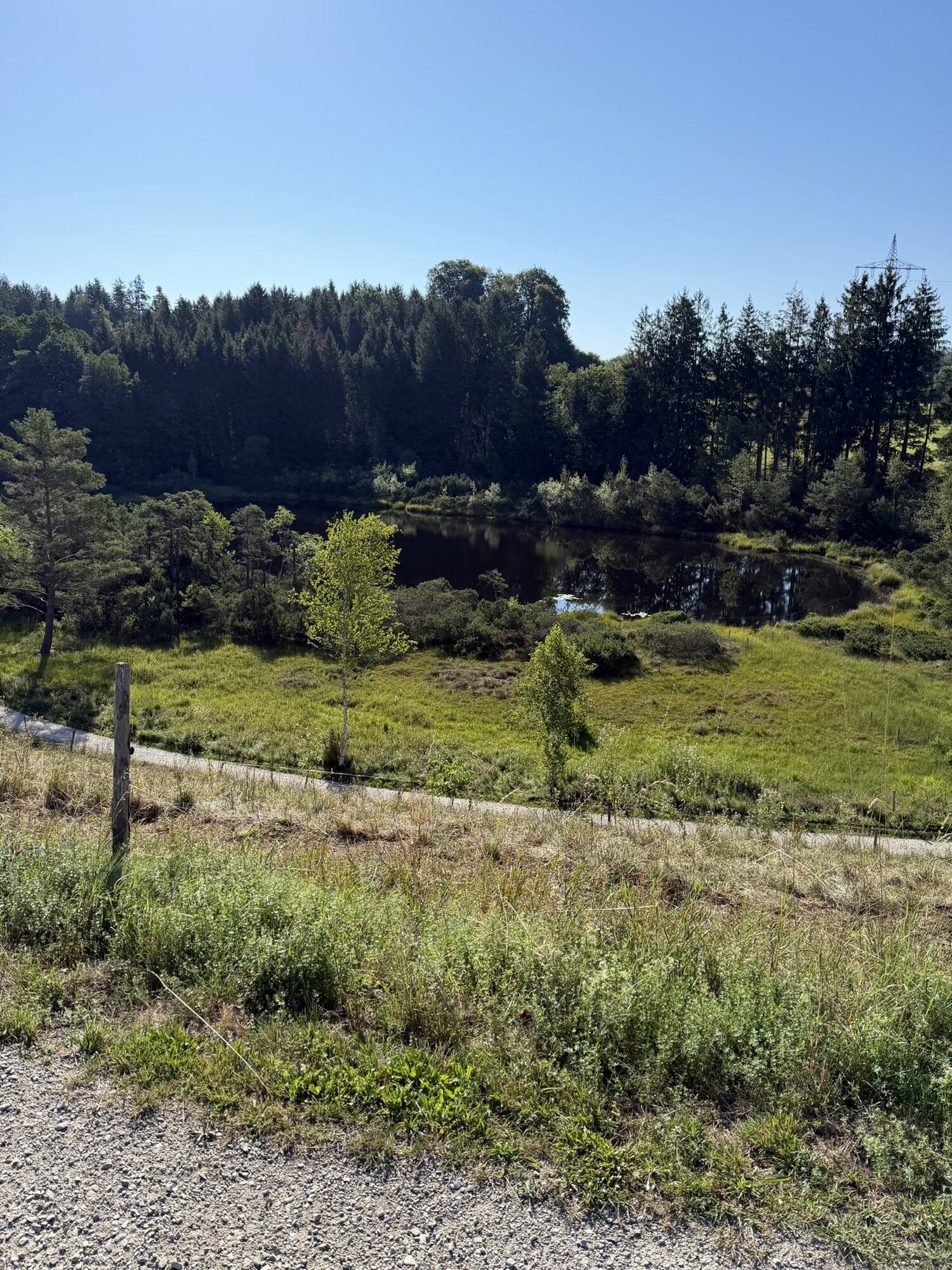 Waldweiher im Hinterland zwischen Prien und Bad Endorf