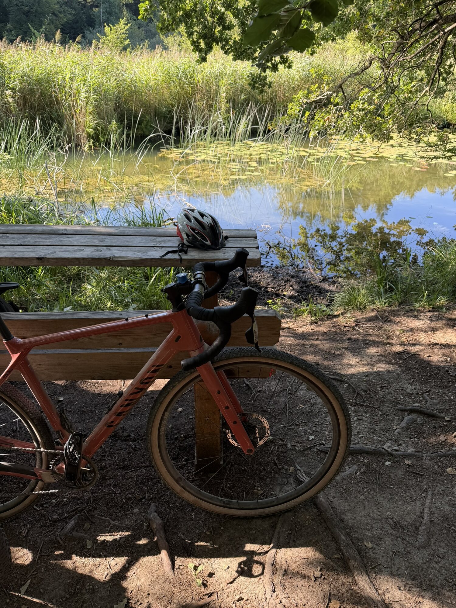 Gravel-Bike an einer Rastbank am Weiher