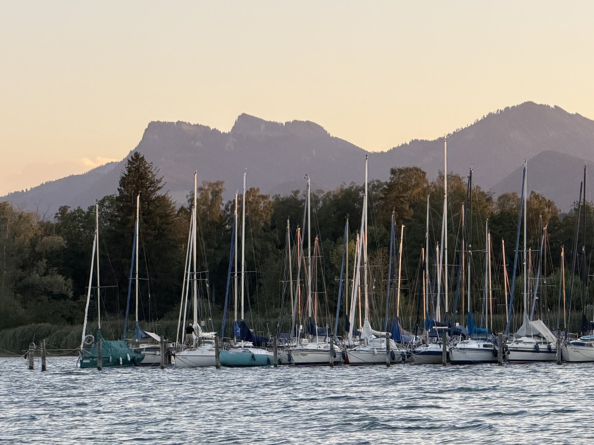 Segelhafen am Chiemsee im Abendlicht, im Hintergrund die Alpen