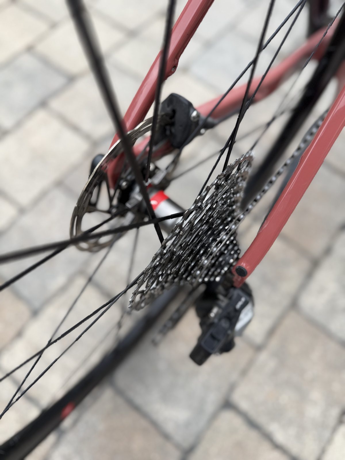 Racing Zero DB mit XG-1251 Kassette und Centerline Bremsscheibe