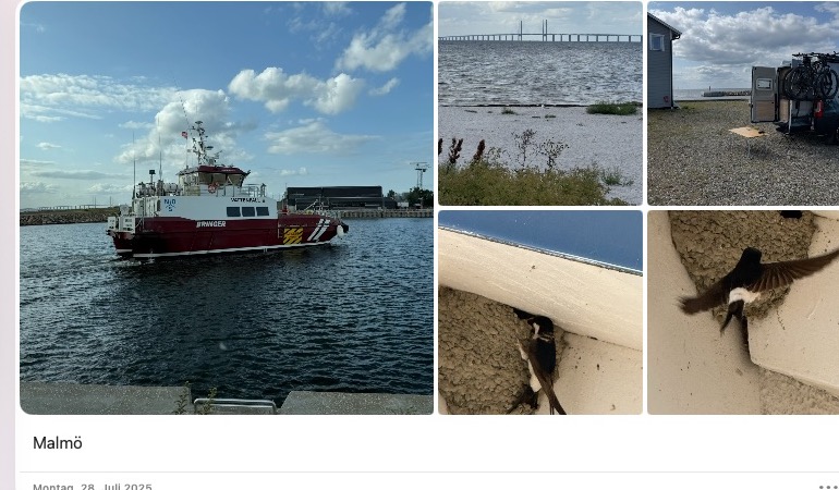 Marina bei Malmö mit Öresundbrücke, Fähre und Schwalben